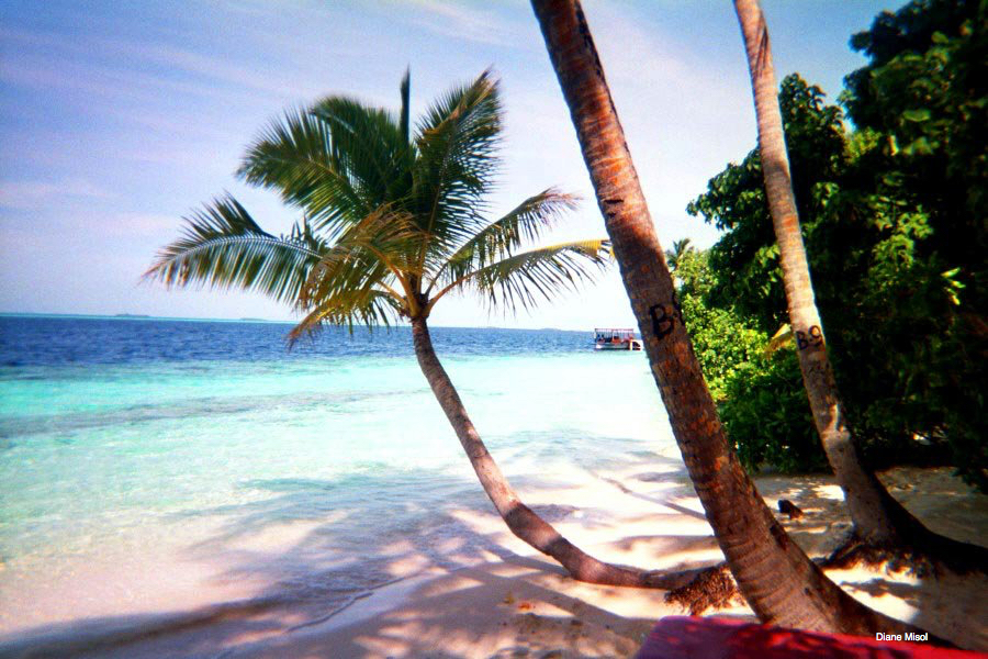The Romantic Maldives – Diving & Snorkelling Paradise