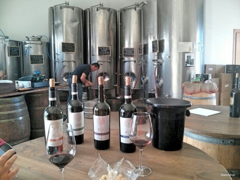 Cantina San Marzano, Wine Tasting