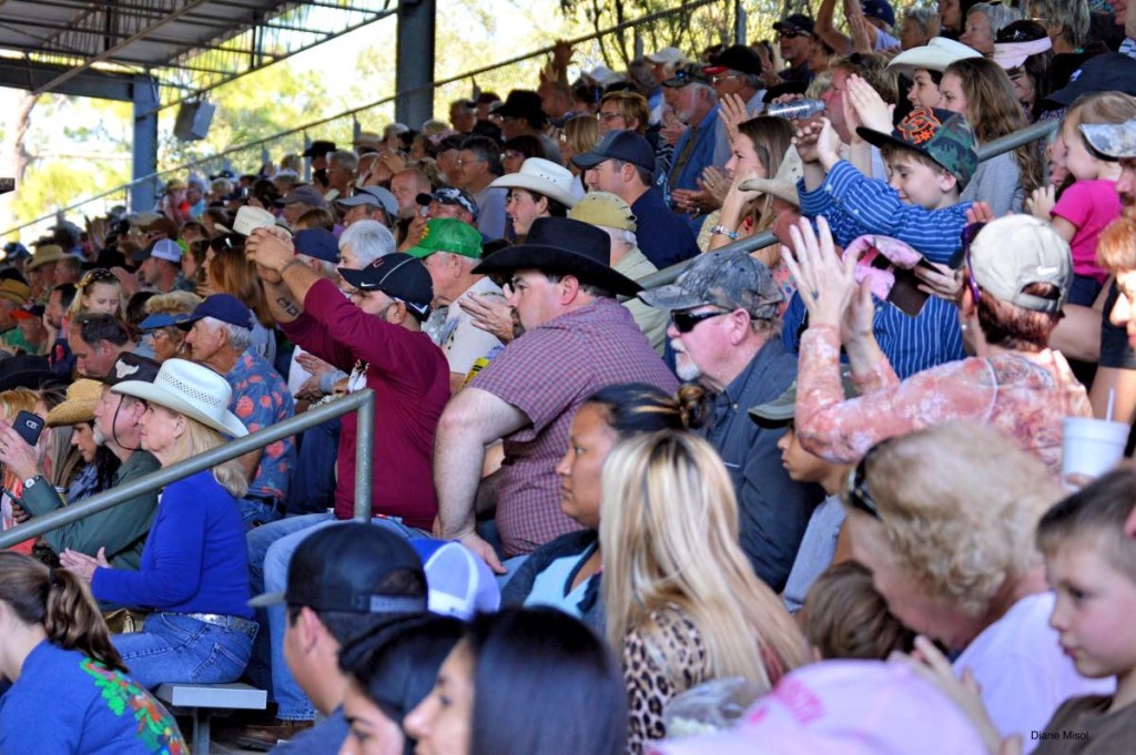 Audience clapping in appreciation at Rodeo