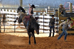 Cowboy rides bronco