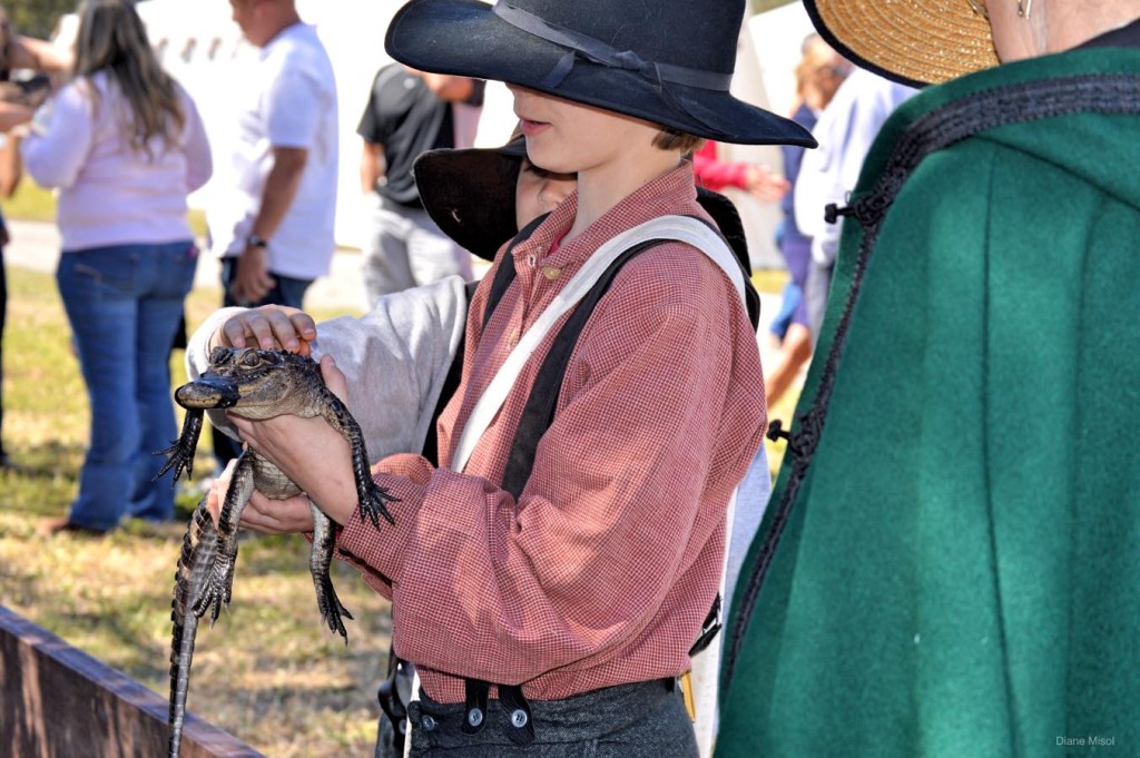 Alligator Petting at The Battle of Okeechobee weekend event