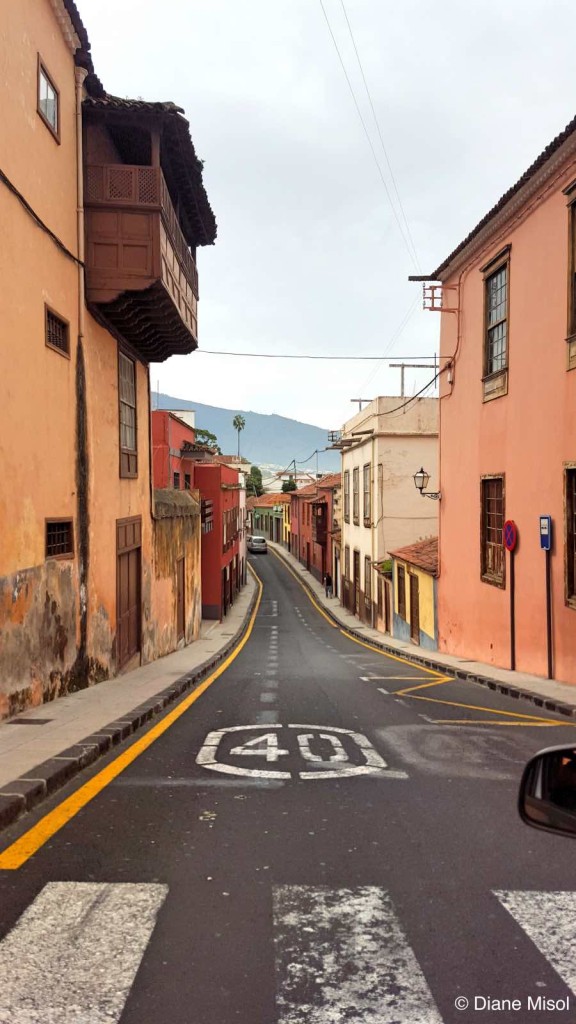 Long Roads, Tenerife, Canary Islands