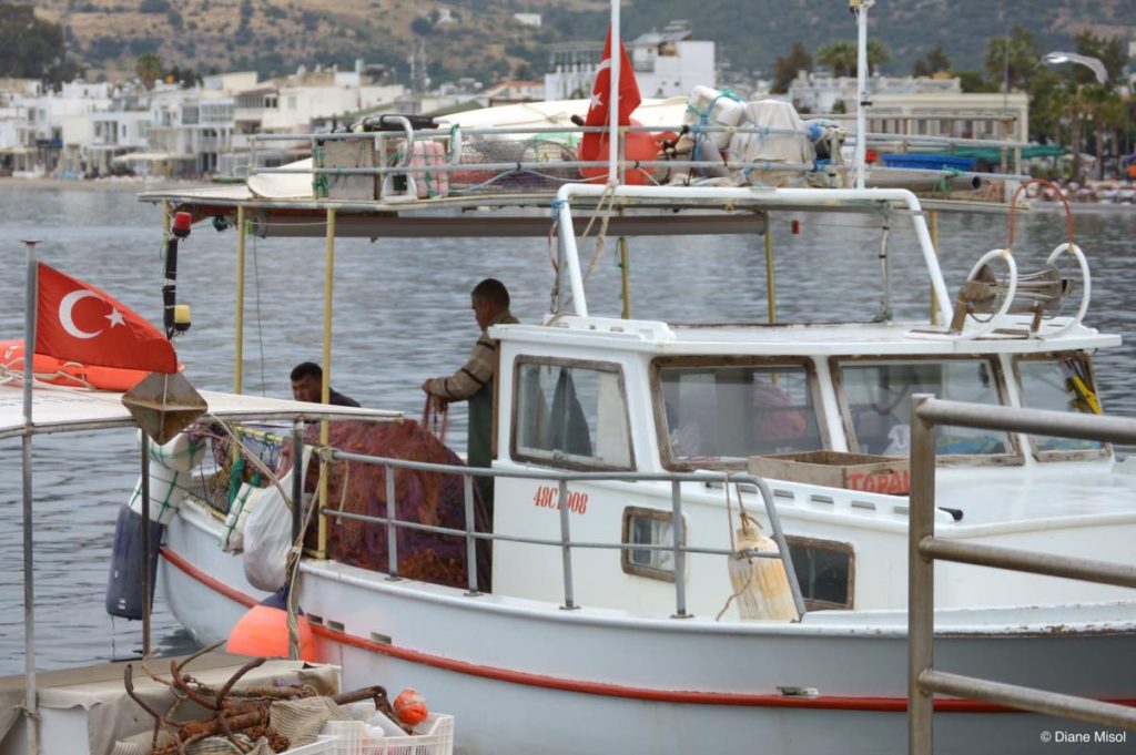Fishermen, Bodrum, Turkey