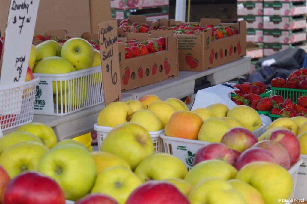 Fresh, Local, Organic Fruits. St Jacobs Farmers Market, Ontario