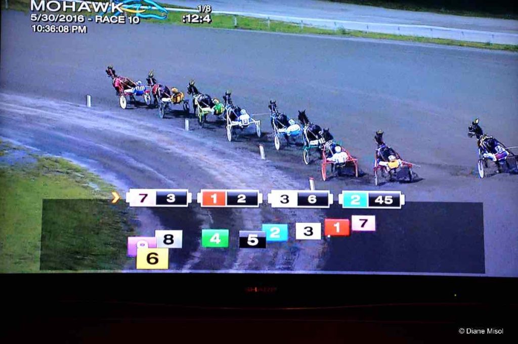 Race Screens Everywhere. Mohawk Racetrack Standardbreds, Ontario, Canada