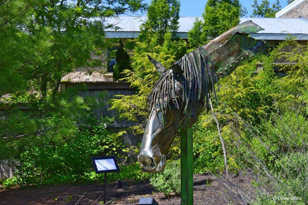 Horse - Elora Sculpture Project, Ontario, Canada