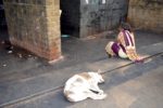 Weeping Woman and Dog - Mumbai, India