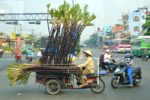 Bamboo transport on Motorbike - Ho Chi Minh