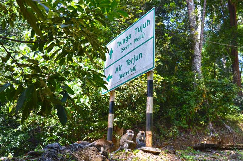 Hiking Signs to Falls and Monkey Guides - Langkawi Island Mountains