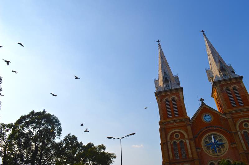Pigeons Above Notre Dame - Ho Chi Minh, Vietnam