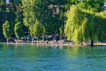 Swimming in the Rhein River - Konstanz, Germany - Schwimmen -0122