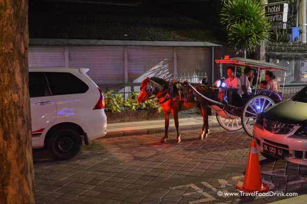 Horse & Carriage Transport - Legian Kuta, Bali