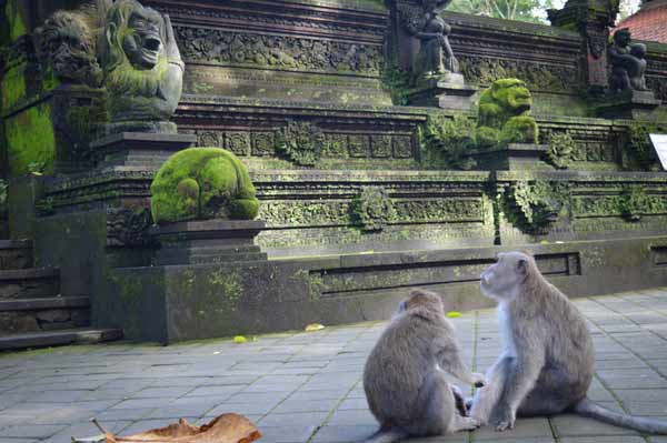 Temple - Sanctuary of the Sacred Monkey Forest - Ubud, Bali