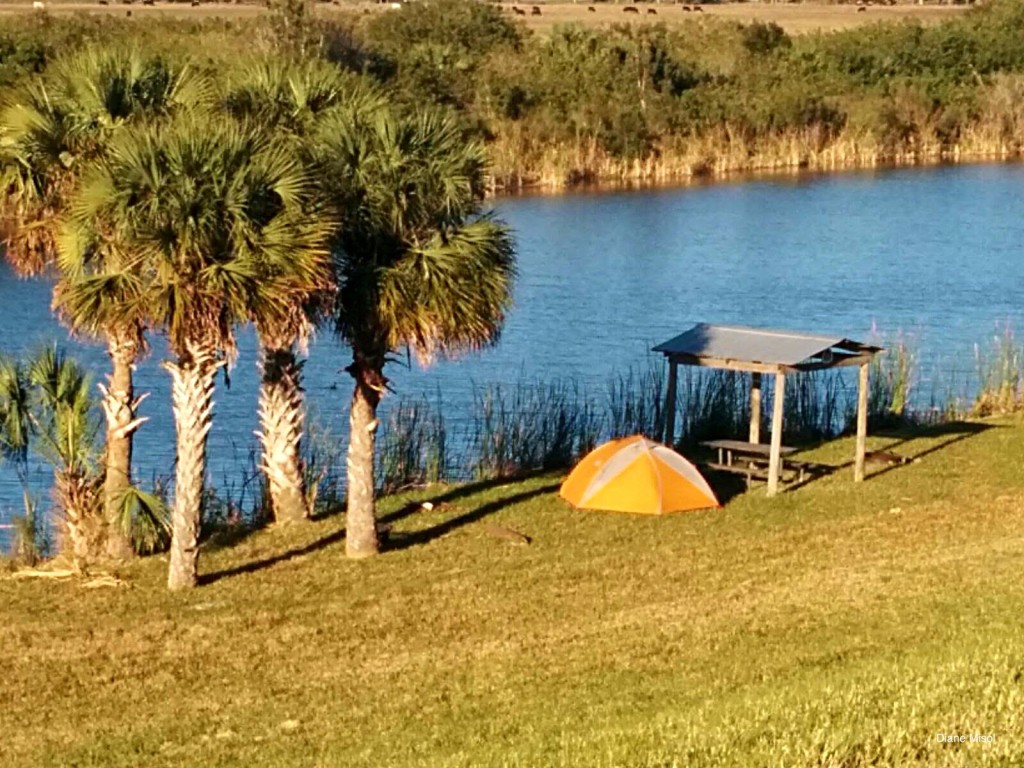 Camping along the Lake Okeechobee Scenic Trail