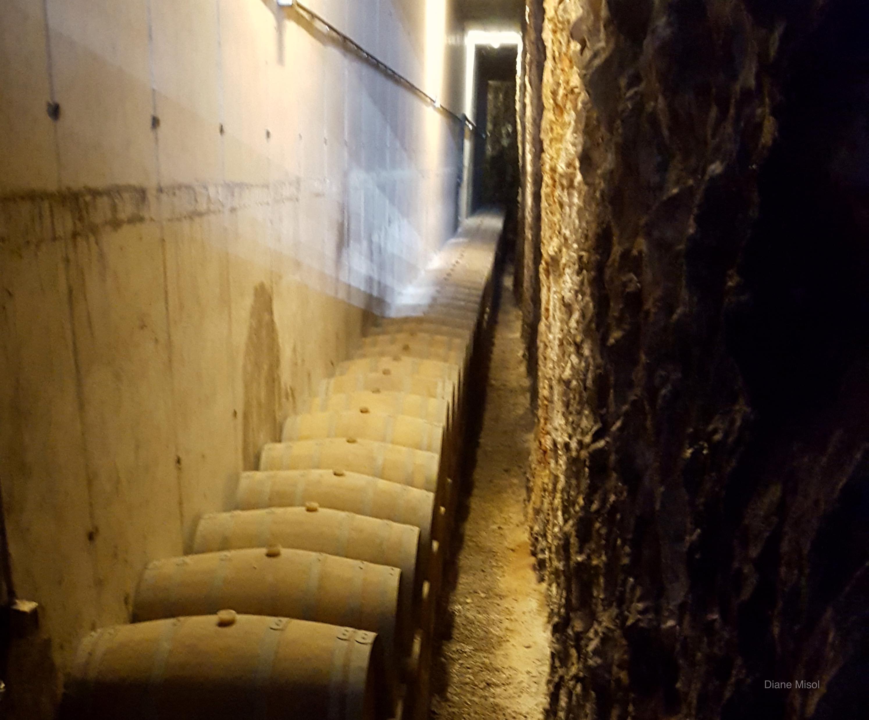 Wine Barrels staying cool in the Cellar, Puglia, Italy