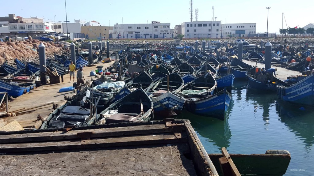 Fishing Boats, Port Agadir, Morocco