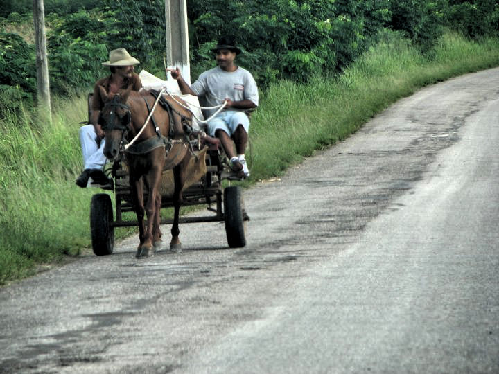 Horse Cart Cuba Transportation
