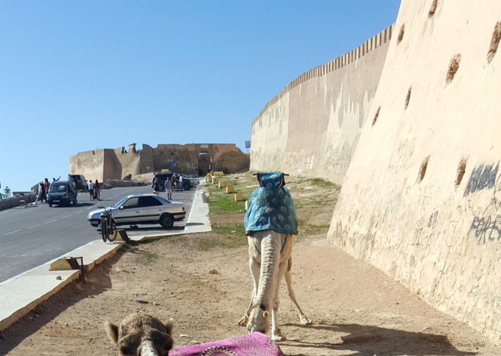 Kasbah / Casbah Fort Wall, Agadir, Morocco