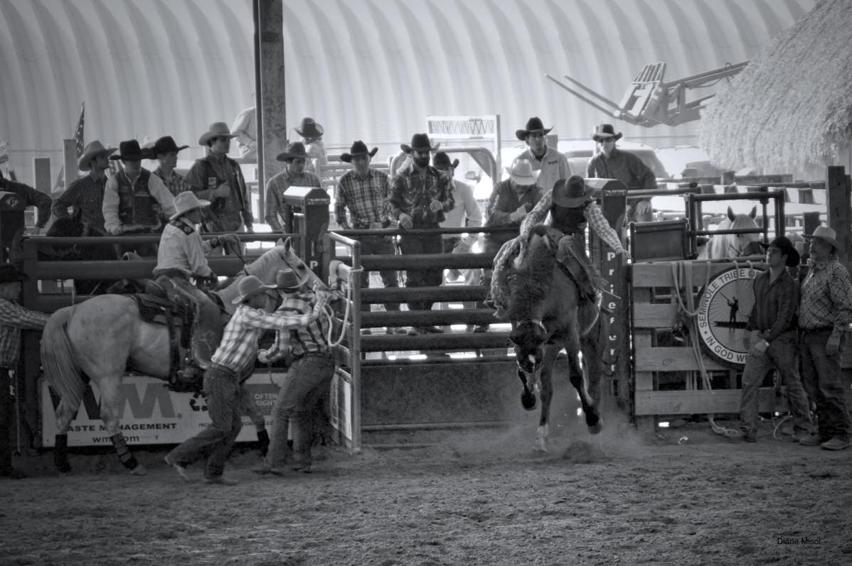 Horses and Cowboys, Non-Stop Action Rodeo – Brighton Field Days, Florida