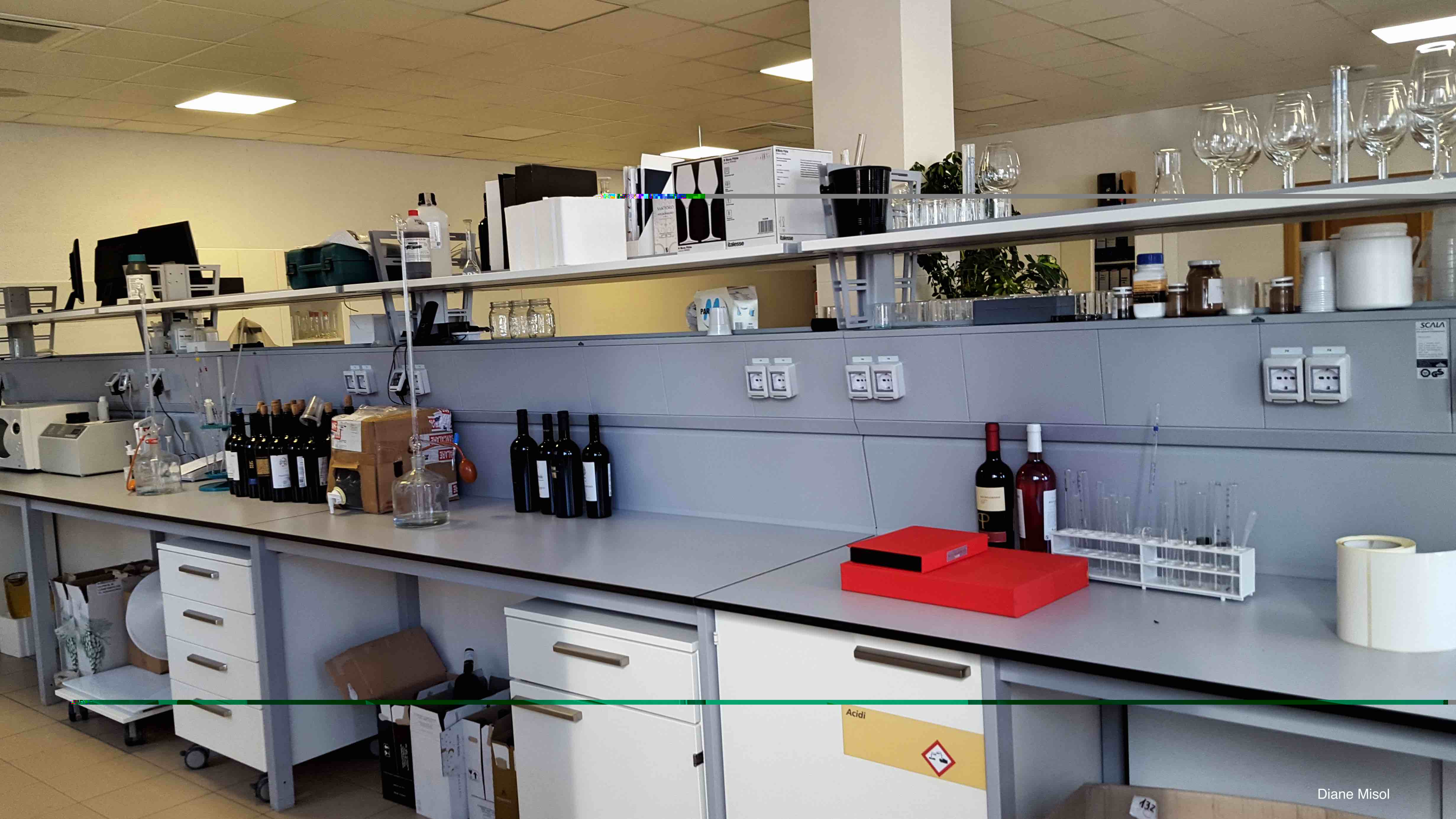 The Science behind perfect wine, a Lab somewhere in Puglia, Italy