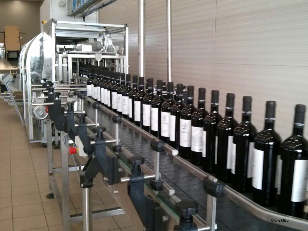 Wine Bottling Line, San Marzano, Puglia, Italy
