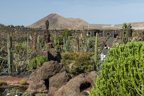 Guatiza - Cactus Garden, Lanzarote