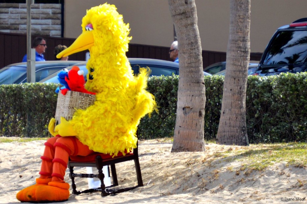 Big Bird, Fort Lauderdale Beach, Florida, USA