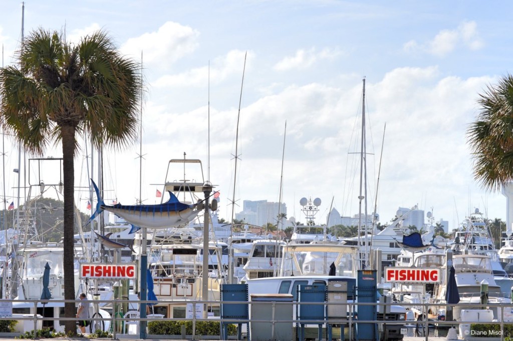Harbour, Fort Lauderdale Beach, Florida