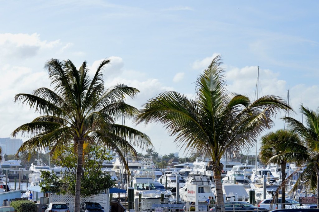 View of the Harbour, Fort Lauderdale Beach, Florida
