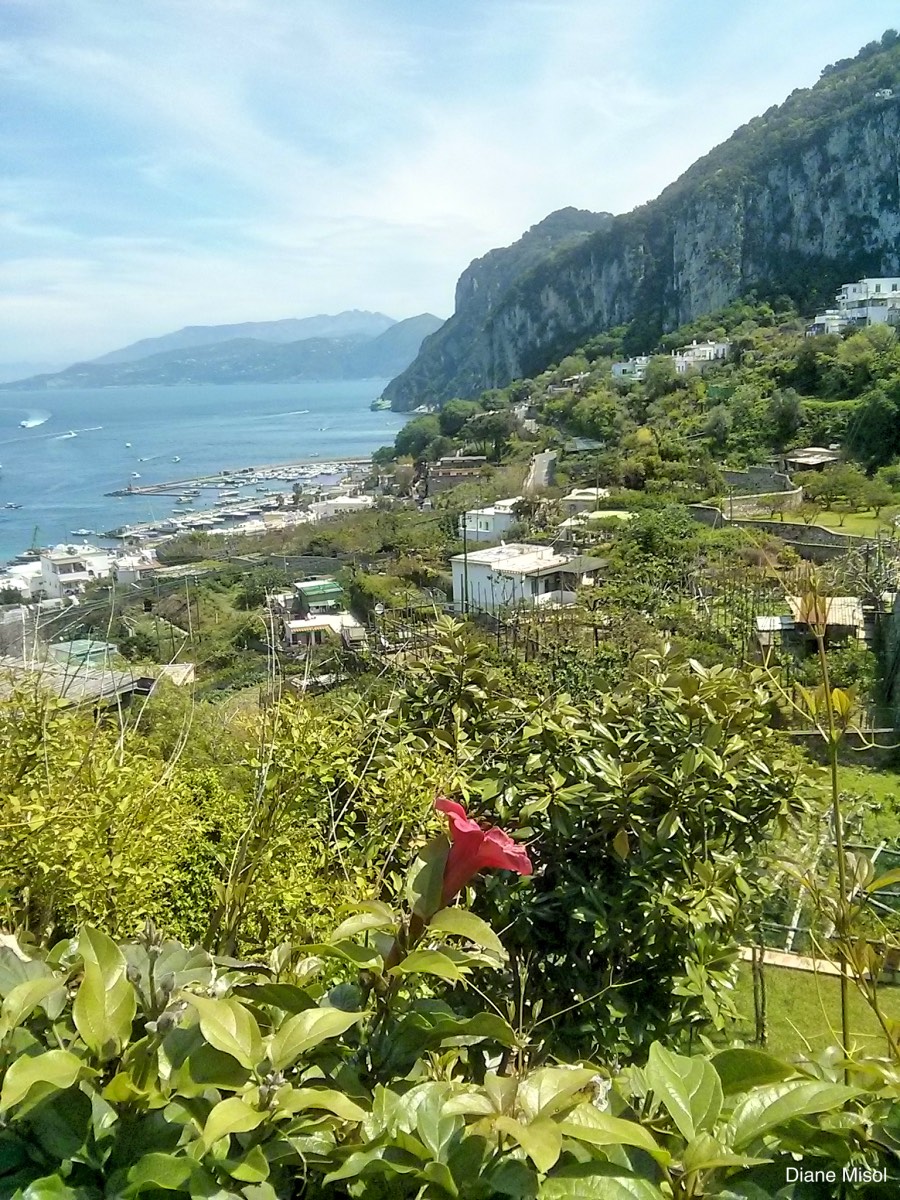 Hilltop View of Capri, Italy