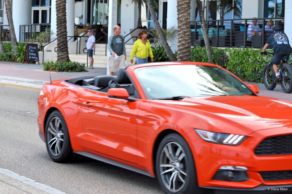 Mustang Fort Lauderdale Beach Florida USA