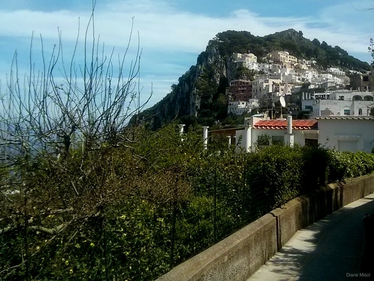 Winding Path Up to Capri town, Italy