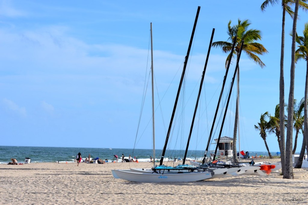 Sail Catamarans, Fort Lauderdale Beach, Florida