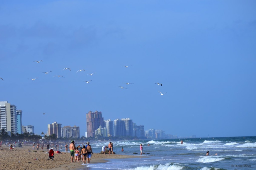 Waves and Gulls, Fort Lauderdale Beach, Florida