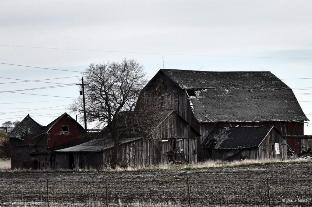 Little Red Barn - Washed with Years