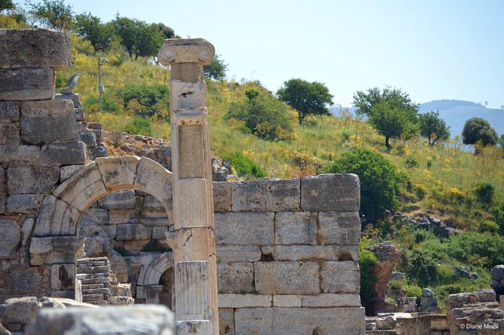Ancient Ruins and Fields, Ephesus, Turkey