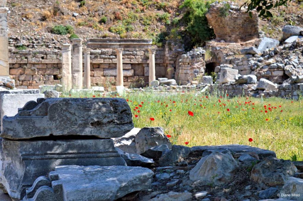Beauty of Archaeology in Ephesus, Ancient Greek City, Turkey