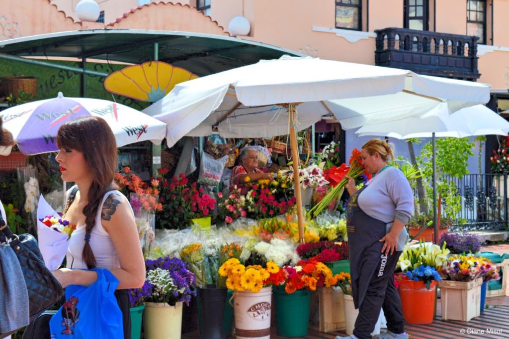 Flower Stand. Tenerife, Canary Islands