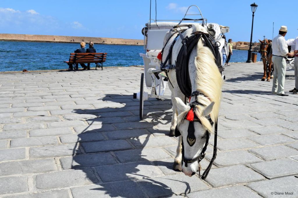 Horse carriage rides. Chania, Crete, Greece