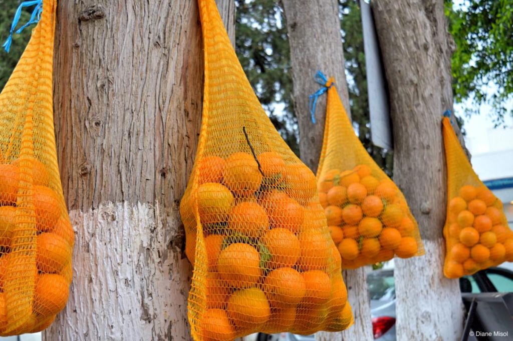 Orange Trees! Bodrum, Turkey
