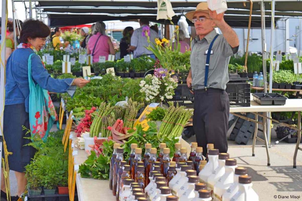 Herbs, Vegetables, Flowers and Maple Syrup. St Jacobs Market