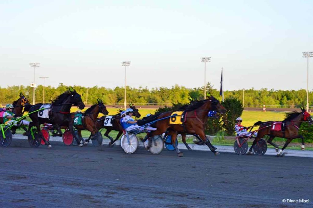 Horse Race in Motion at Mohawk Racetrack. Ontario, Canada