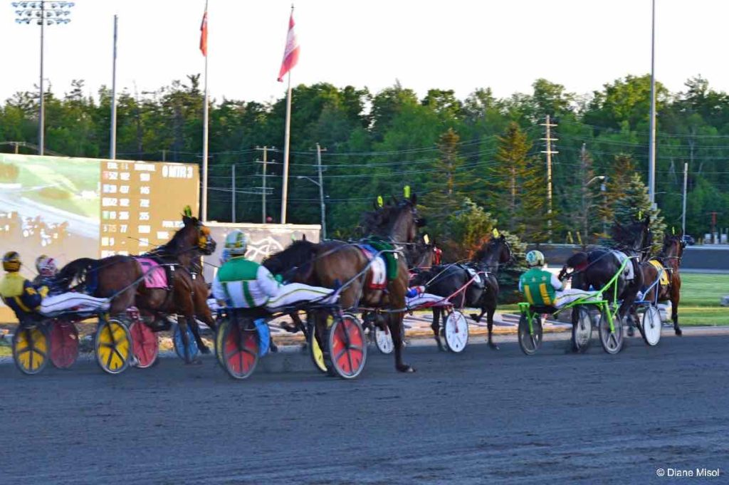 Horses Race By at Mohawk Racetrack. Ontario, Canada