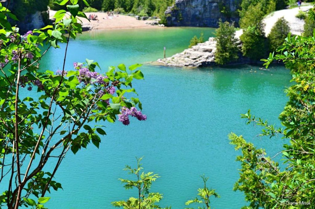 Lilacs, Beach, and Turquoise Green Water. Elora Quarry, Ontario, Canada