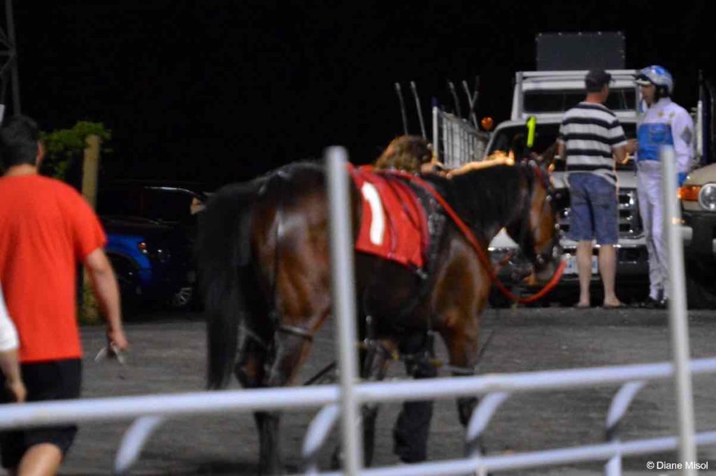 Night Scene of Horse, Trainer, Driver. Ontario, Canada