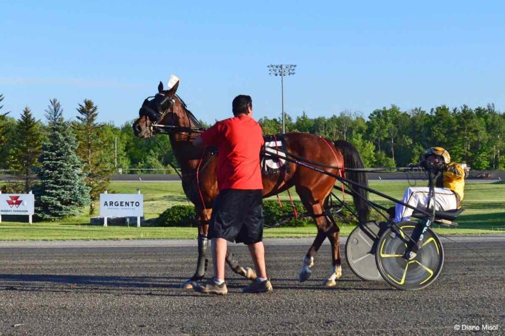 Trainer, Horse and Driver arrive for Win Photo. Mohawk Raceway, Ontario