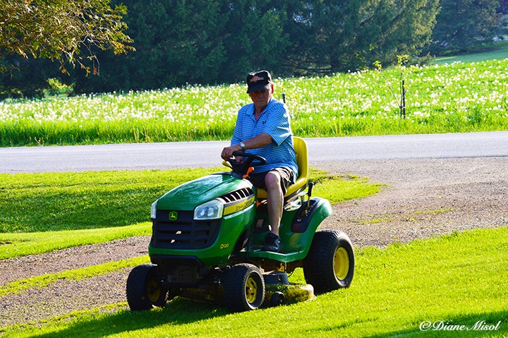 Lawn Mowing Day. Middlebrook Stables, Elora, Ontario, Canada