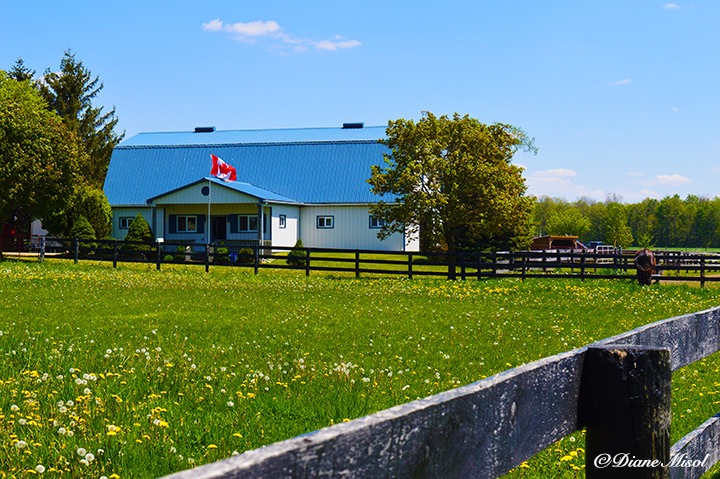 Middlebrook Stables Horse Barn. Ontario, Canada