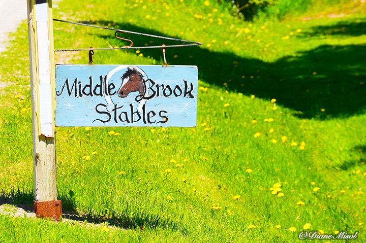 Middlebrook Stables Sign.