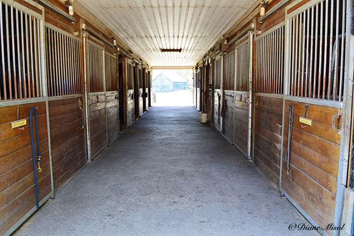 Stalls of Middlebrook Stables. Ontario, Canada